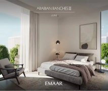 ����������˫ƴ�������amp;#127969;