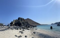 ����ȫ�ϰݸ�����Ԣ������������¥��