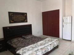 �ϰݹ��ʳǿ������