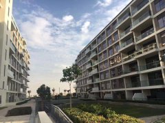 �ϰݷ���Emaar�׼��Ƴ���ס��������DMCC��ó����������