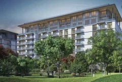 �װ������||������||�ϰ�δ��������