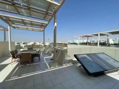 �ϰݷ���-�ϰݿɳ�����չ�ǣ���԰��������ֲ����