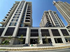 ������������ַ�����һ������