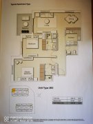 ������������ַ�����һ������