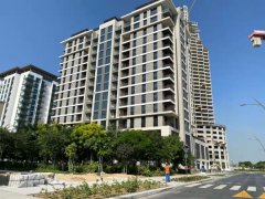 ������������ַ�����һ������