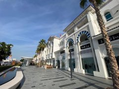 WASL�¿�����һ�����ӳ��⣡