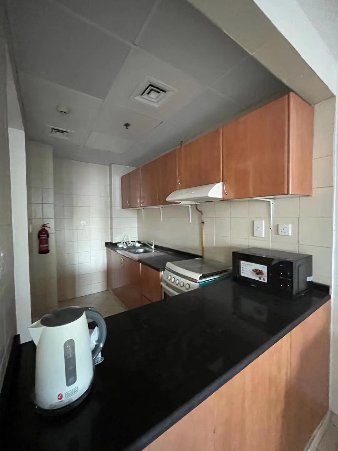 CBD一室一厅加保姆房 出租 CBD一室一厅加保姆房 出租