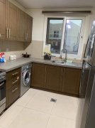 �������ű�������