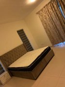 �������ű�������