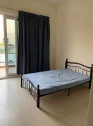 �������ű�������