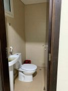 �������ű�������