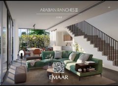 �ϰݷ���ʷ��**���Լ۱�С��������145�����ò�Ȩ