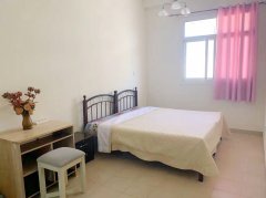 ���ʳ��й�����������