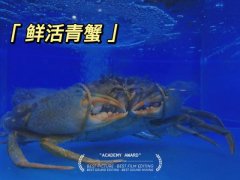 �ϰݵ������ͷ���ţ���Ӫ�Ÿ��������й�ζ��