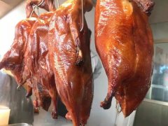 �����ʽ����