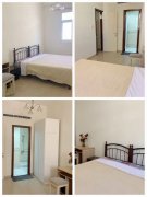 ���ʳ���������