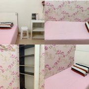 ���ʳ���������