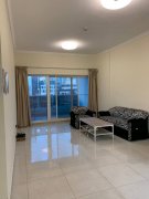 �����ART XV ����һ����������