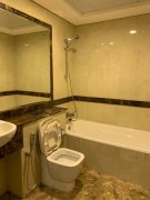 �����ART XV ����һ����������