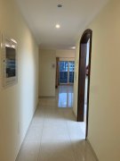 �����ART XV ����һ����������