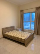 �����ART XV ����һ����������