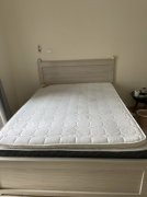 1.5*1.8�󴲺�����