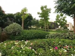 �ϰݷ������ϰ�ѧ�������ַ����ۣ�4��ɭ�ֱ���