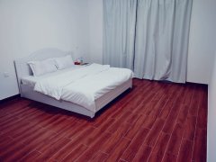 ������ҹ�Ԣ�Ƶ�