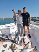 �ϰݳ�����è�������ֲ�:�������顢���ι۹⡢����ɶ�