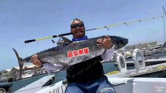 �ϰݳ�����è�������ֲ�:�������顢���ι۹⡢����ɶ�