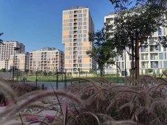 �ϰݷ���Ͷ�� 6����Ϣ����ƻ�����Ҳ�����ڵϰ��и���