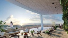 �ϰݴ�����DAMACSAFAONE��ʯ��Ԣ