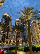 �ϰݷ������ϰ���Ϫ�ۣ�ɳ̲С�߲�Lotus����