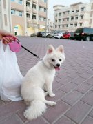 7���²���ת��