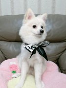 7���²���ת��