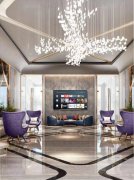 �ϰݷ����ܱ����׳������DMCC ���� λ��JLT�������ò�