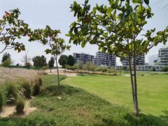 �ϰݷ��������ո߶�����ֲ������ַ�5��1������լ���ò�Ȩ