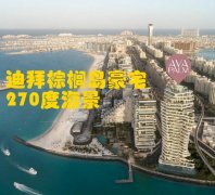 �ϰݷ������ϰ���鵵���ƽ�㣬�ϰݺ����� Ava Palm b