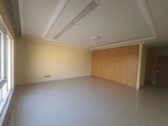 �ϰݺ��ⷿ��ϡȱ���ʷ�ԴTHE VILLA 8�����ò�Ȩ