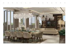 �ϰݺ��ⷿ��DAMACɽׯ�Ƴ�ǰ��δ�е��ݻ���������û�й�̯