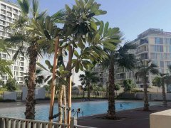 �ϰݷ��� ׼�ַ��������� �ϰ���ĺ�ѡ�� ��Ϣ����