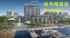 µÏ°Ý·¿²ú£ºÒÁÂê¶û¿ª·¢ÉÌ£¬µÏ°Ýº£¾°·¿ Mina RashidС µÏ°Ý·¿²ú£ºÒÁÂê¶û¿ª·¢ÉÌ£¬µÏ°Ýº£¾°·¿ Mina RashidС