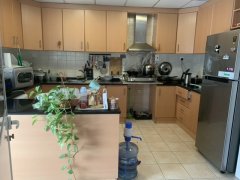 ����CBD ����һ������4��һ�� ����� ���������������