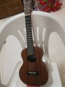 ȫ���ȿ�����ת�ã�һ�ζ�û�ù�