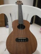 ȫ���ȿ�����ת�ã�һ�ζ�û�ù�