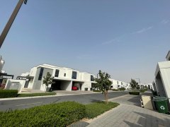 Ͷ�ʾ�ѡ - �ϰ�ɽׯmaple 4������