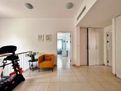 �ϰݷ������ϰݶ��ַ��������������� meadows 9