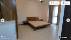 ���ʳ� CBD indigo spectrum2 ��������