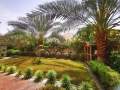 �ϰݶ��ַ����ϰݹ��4�������������ͼ۳���