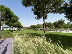 �ϰݷ������ϰݶ��ַ����ϰ�ɽׯ��2����԰���۹�Ԣ